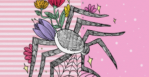 回答关于蜘蛛恐惧症的问题